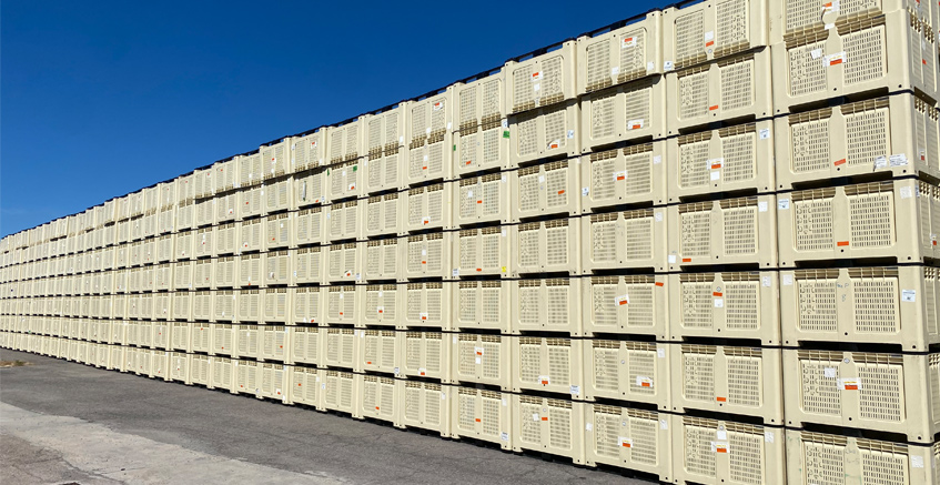 Flujo Inteligente de Envases en la Agricultura (Palops): Del Alquiler en Origen a la Venta en Destino