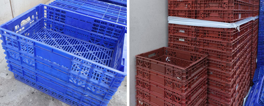  Lote de 2000 cajas de pollos que además pagan una vieja deuda